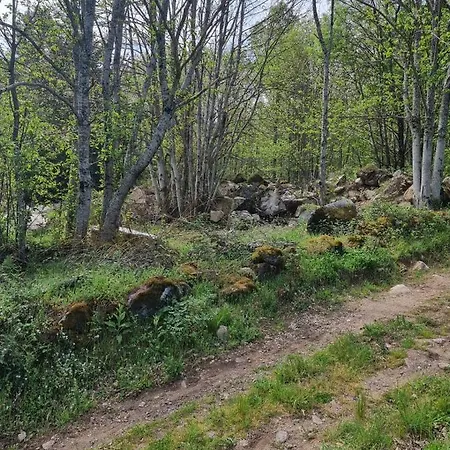 Quinta De Leandres 3*